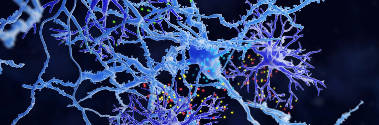 astrocytes